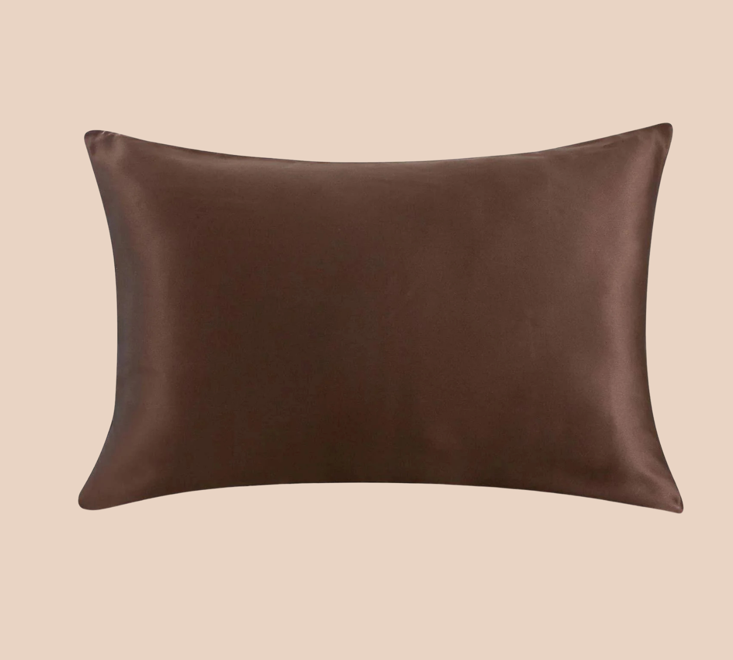 Silk Pillowcase · 22 Momme Mulberry